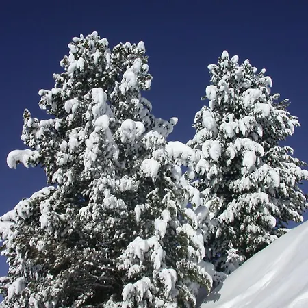 Готель Seiblishof Superior 4*